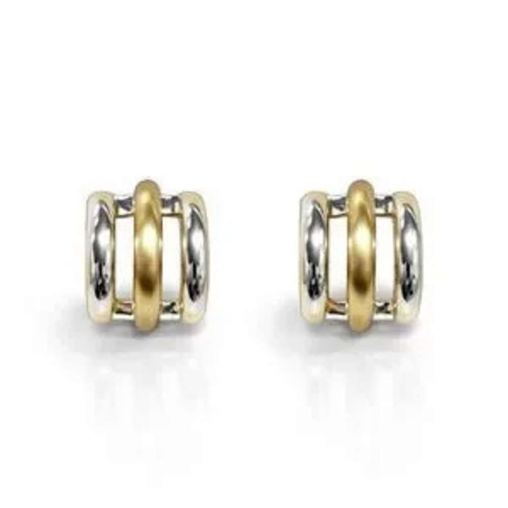 Elegant Gold and Silver Earrings